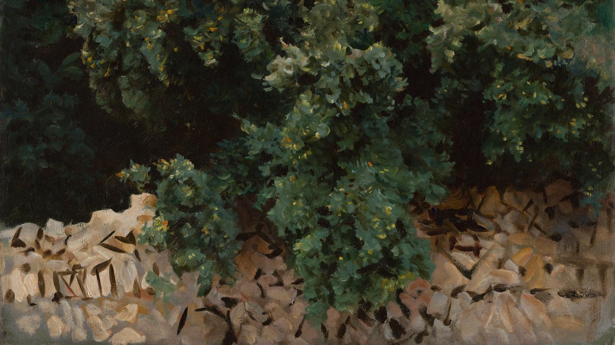 Ilex Wood. Majorca - Sargent, John Singer. Museo Nacional Thyssen